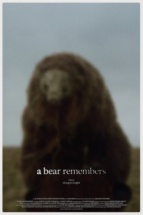 A Bear Remembers poster