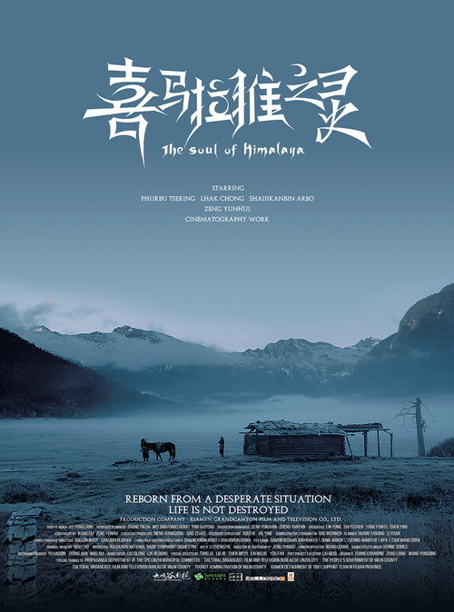 The Soul of Himalaya poster