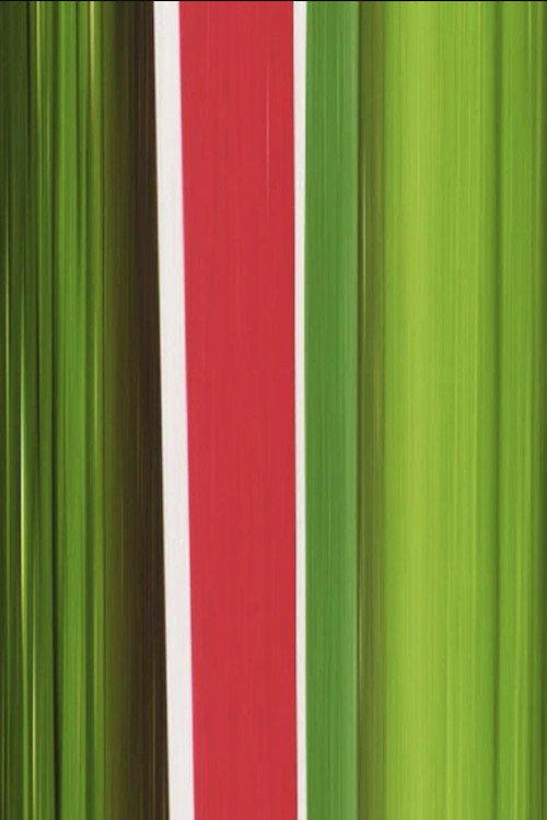Heineken poster