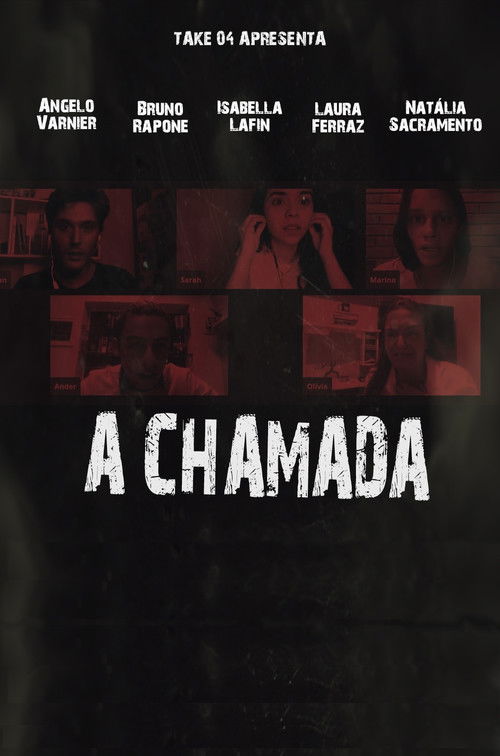 The Video Call poster