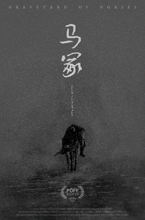 Graveyard of Horses poster