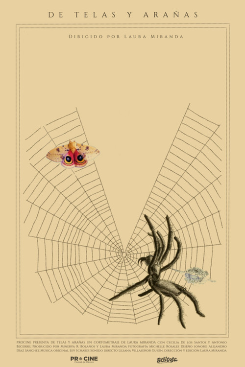 Of Webs and Spiders poster