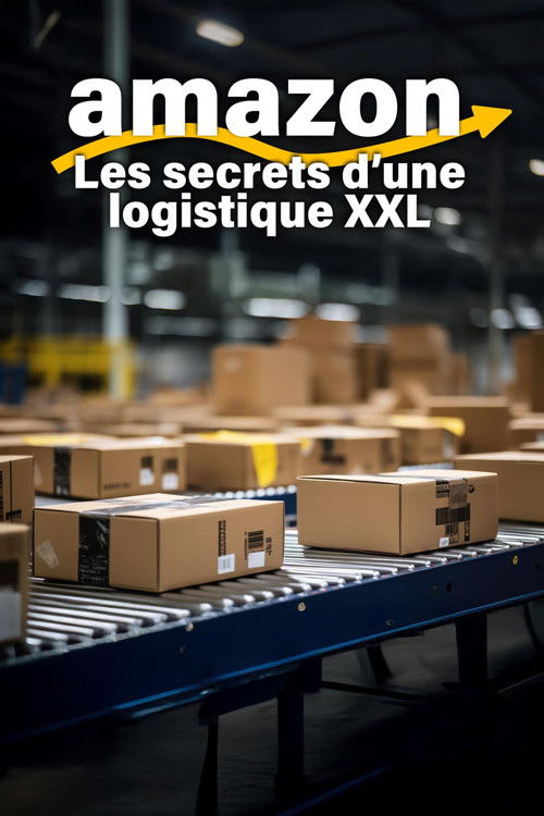 Amazon, les secrets d'une logistique XXL poster