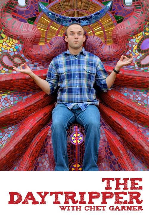 The Daytripper poster