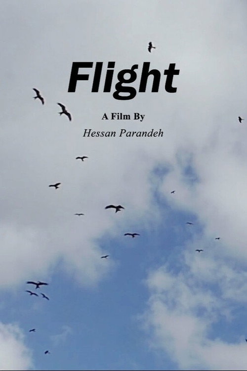 Flight poster