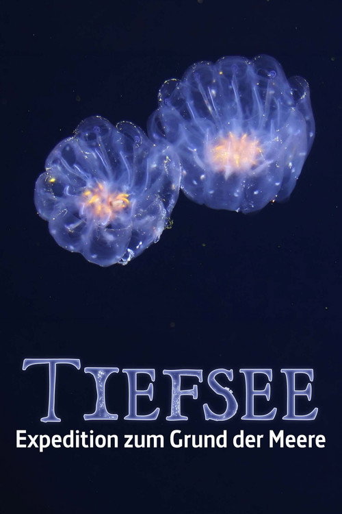 Fascination of the Deep Sea poster