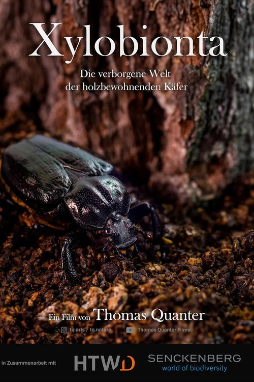 Xylobionta - die verborgene Welt der holzbewohnenden Käfer poster
