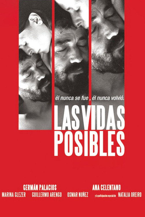 Possible Lives poster