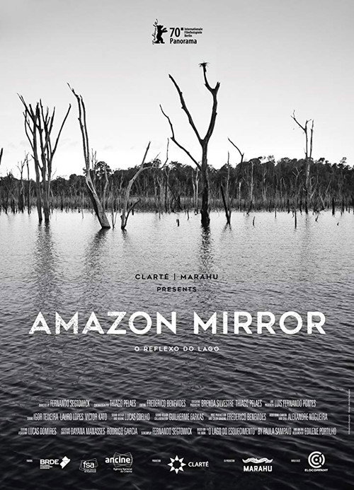 Amazon Mirror poster