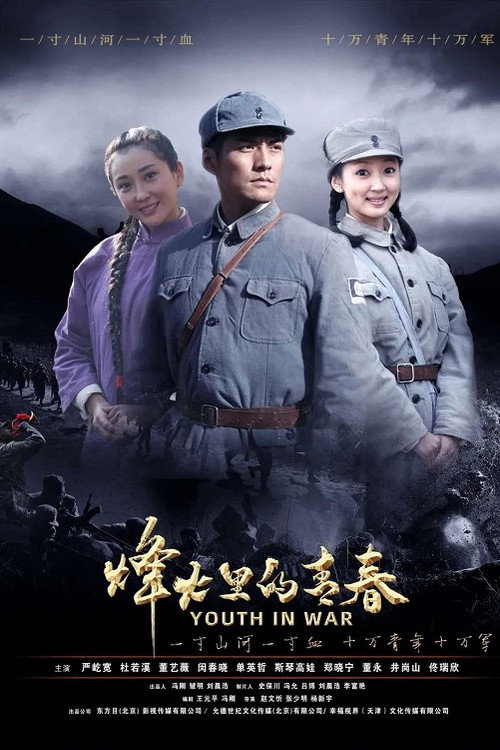 烽火硝烟里的青春 poster