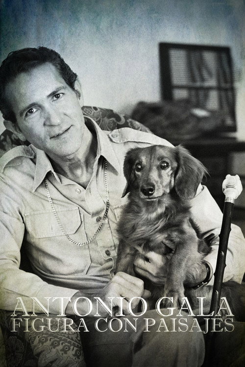 Antonio Gala: figura con paisajes poster