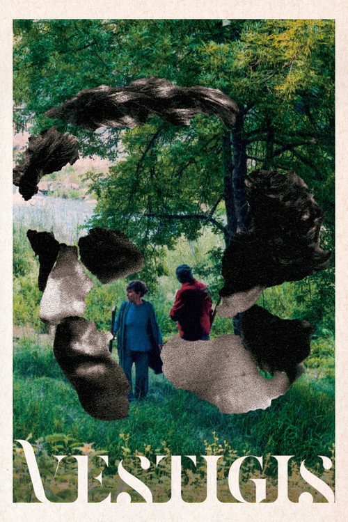 Vestigis poster