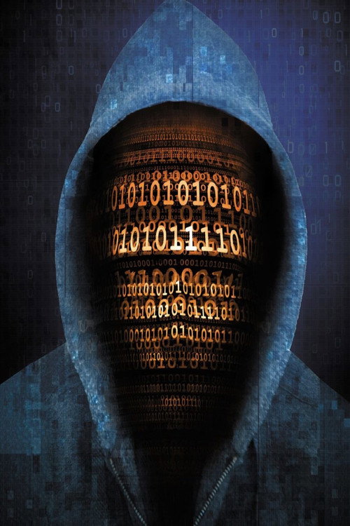 Horizon: Defeating the Hackers poster