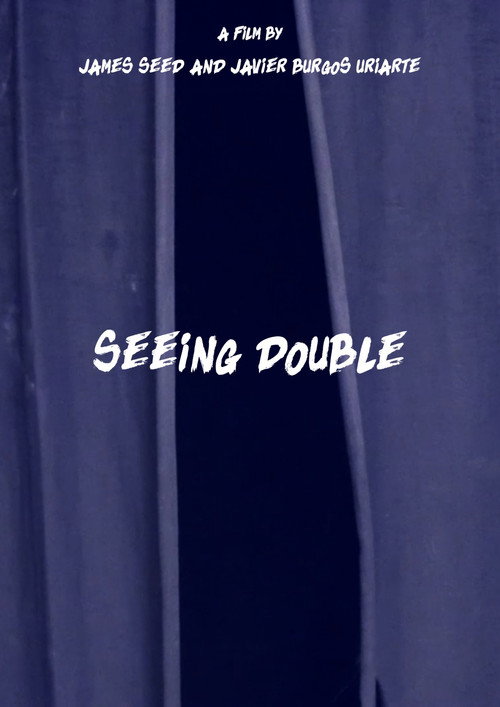 Seeing Double poster