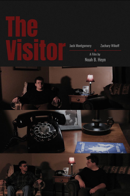 The Visitor poster