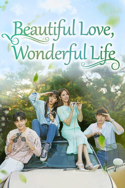 Beautiful Love, Wonderful Life poster