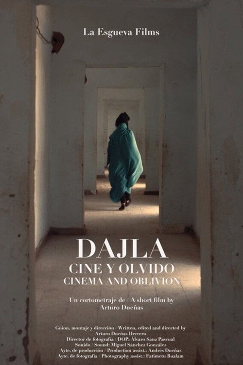 Dajla: cinema and oblivion poster
