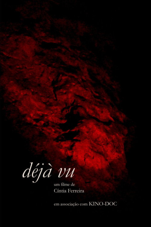 déjà vu poster