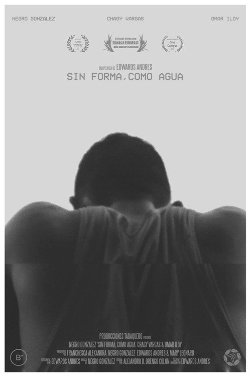 Shapeless, Like Water poster