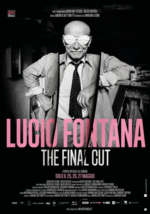 Lucio Fontana - The Final Cut poster