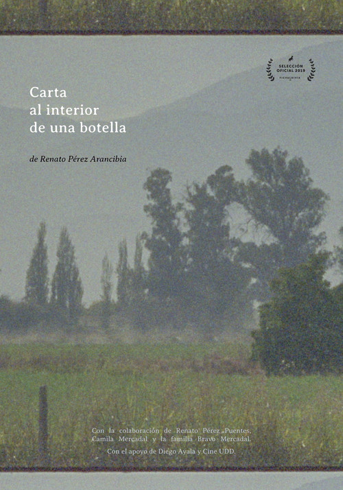 Carta al Interior de una botella poster
