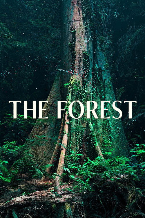 The Forest poster