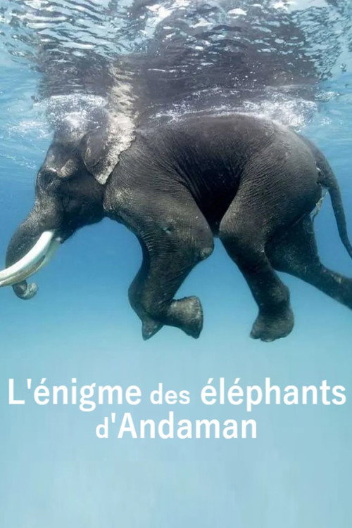 L'énigme des éléphants d'Andaman poster