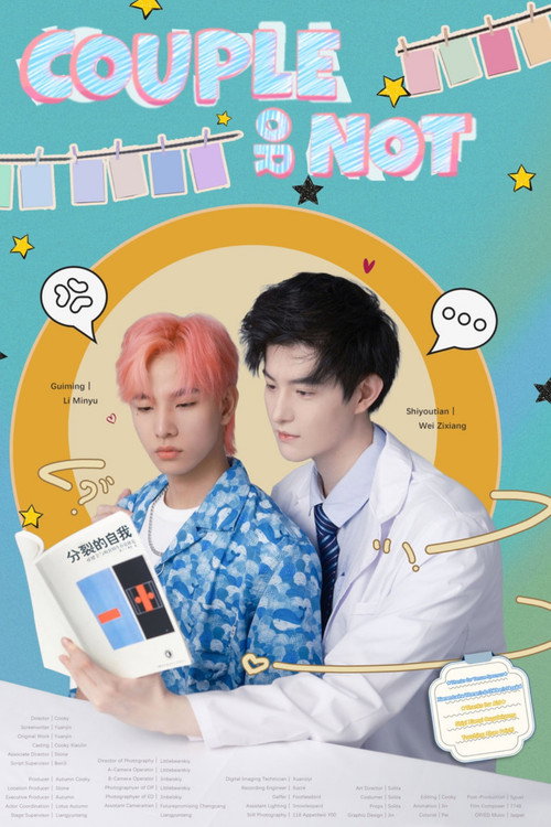 Couple or Not poster