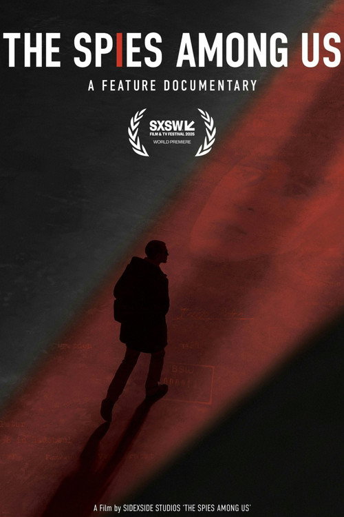 The Spies Among Us poster