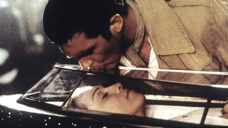 Evita still 7