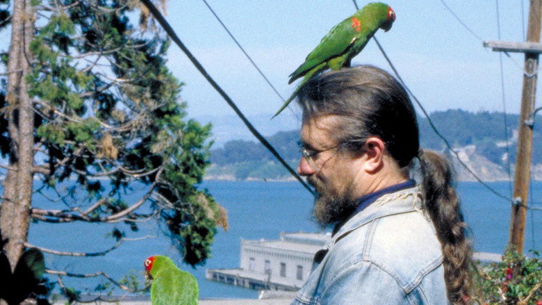 The Wild Parrots of Telegraph Hill still 8