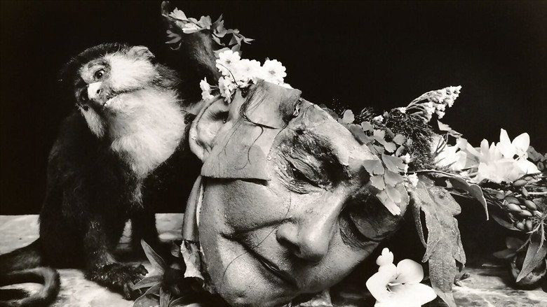 Witkin & Witkin still 1