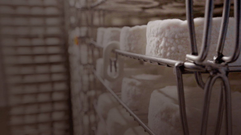 Le camembert nous ouvre sa boîte still 2