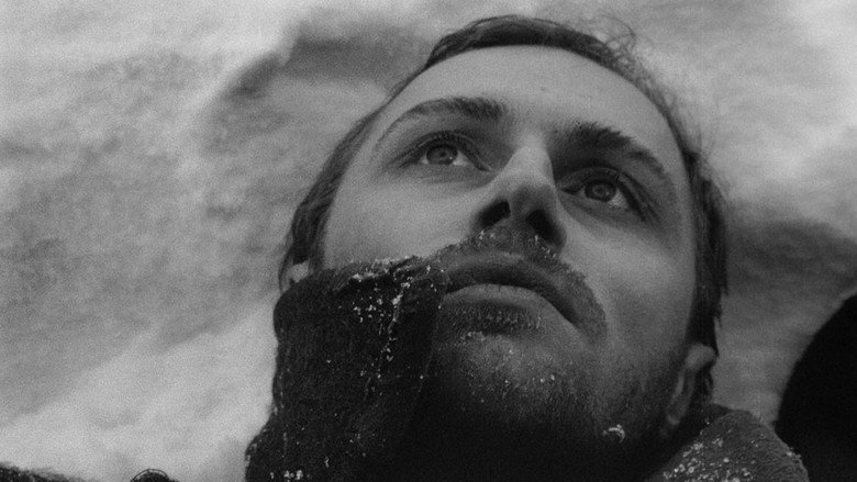The Ascent still 2