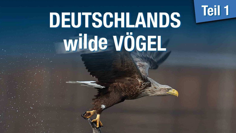 Deutschlands wilde Vögel still 1