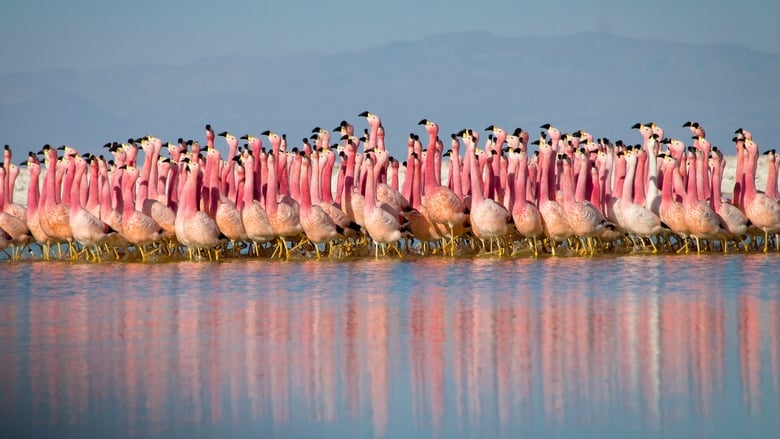 Planet Earth II still 2
