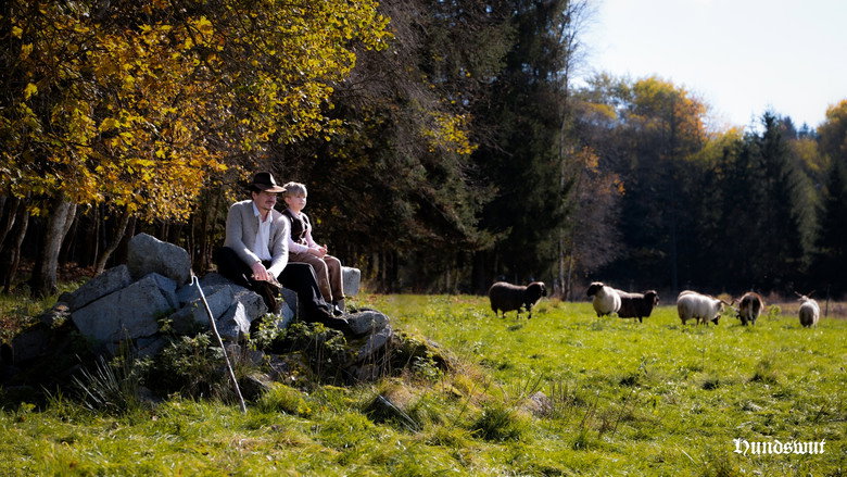 Hundswut still 3
