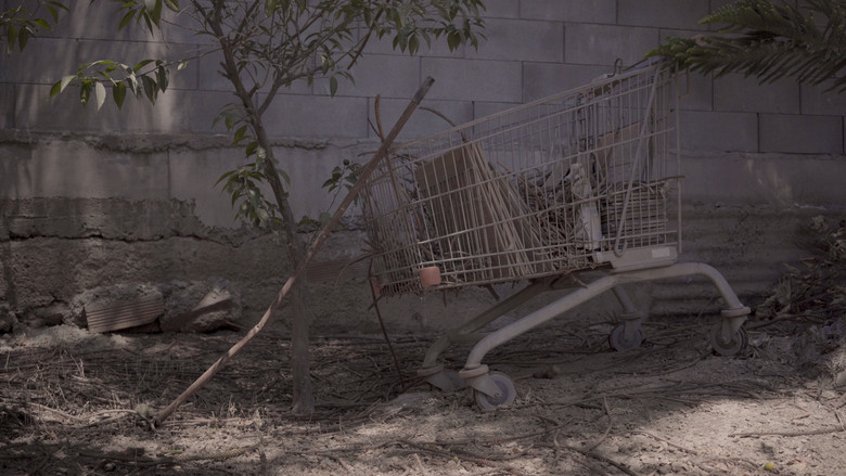 Dream still 8