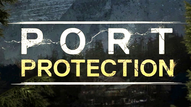 Port Protection Alaska still 5