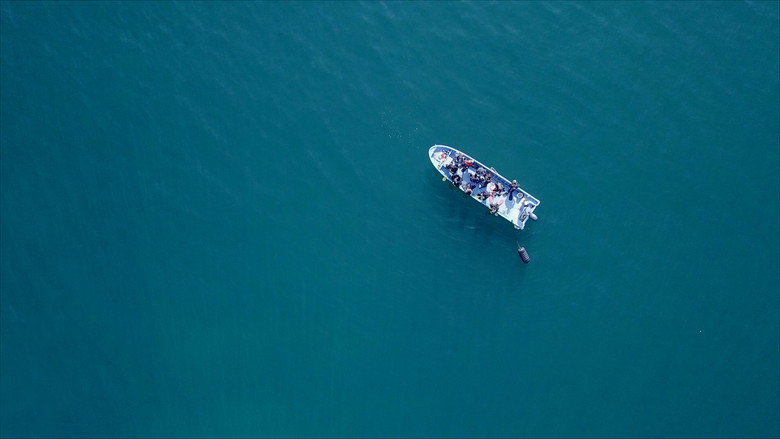 Koi still 5