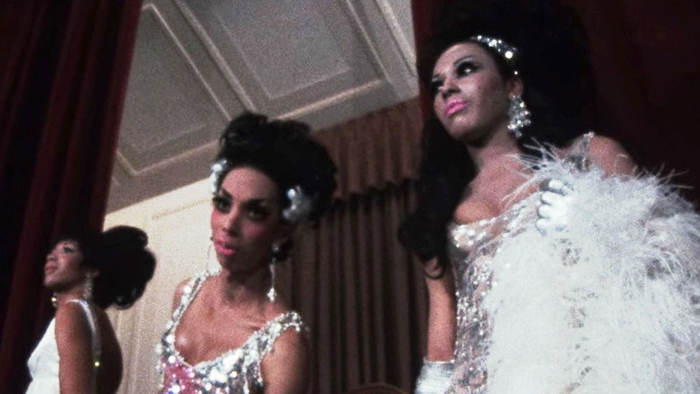 The Queen still 6