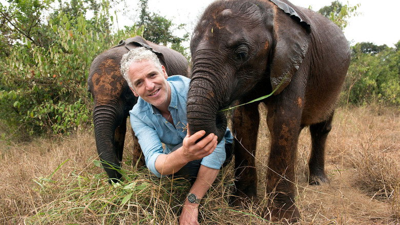Gordon Buchanan: Elephant Family & Me still 1
