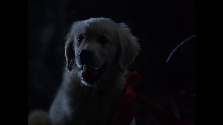 Napoleon still 3