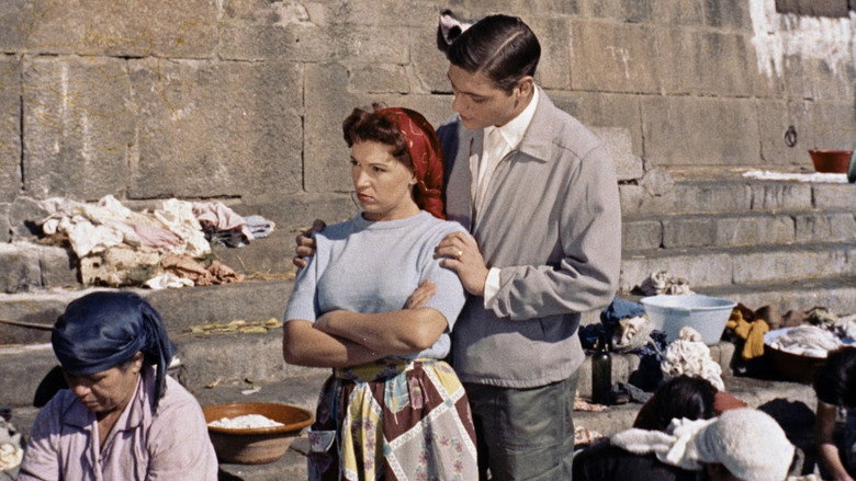 The Little Bird of Ribeira still 1