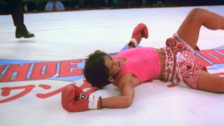 Beautiful Boxer still 4