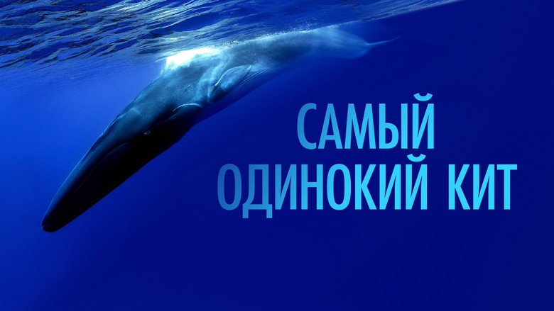 The Loneliest Whale: The Search for 52 still 5