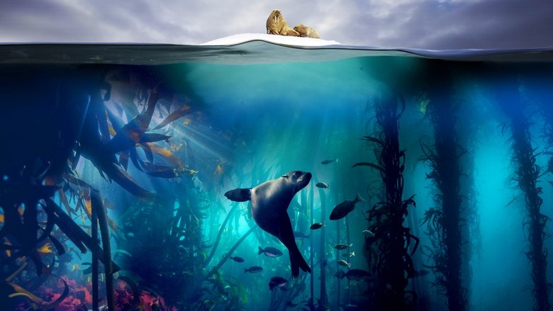 Blue Planet II still 1