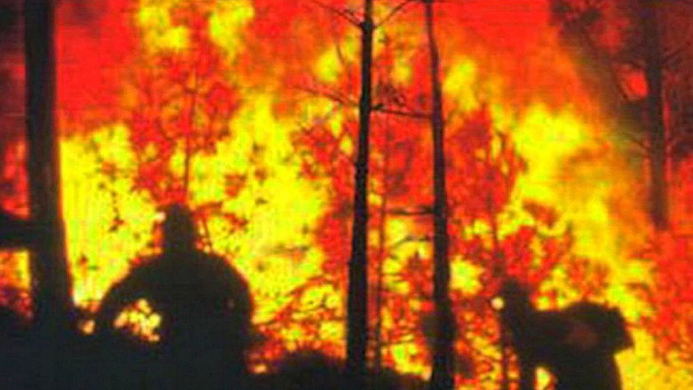 In the Line of Duty: Smoke Jumpers still 1