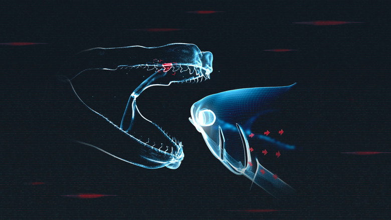 Shark vs. Tuna still 1