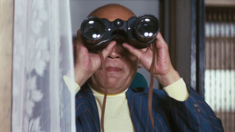 Afternoon Affair: Rear Window still 2